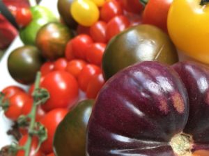 Tomaten-Tarte